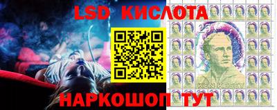 PSILOCYBIN Малоярославец
