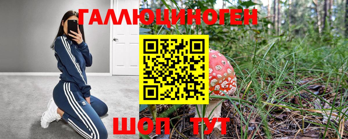 Псилоцибиновые грибы Psilocybe  Вход с VPN  Чистополь  Галлюциногенные грибы ЛСД 